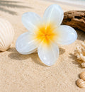 Corail reef